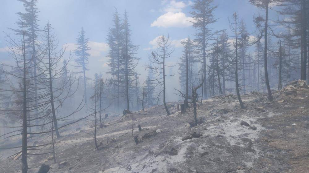 Konya’nın komşu ilinde orman yangını 1
